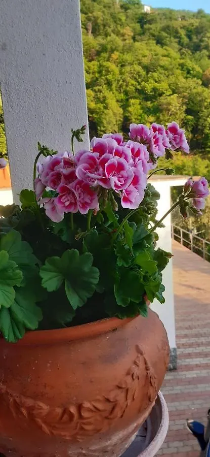 Da Nonno Vittorio Hotel Vescina Guest house